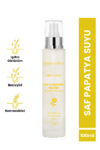 Bade Natural Papatya Suyu Saç Toniği %100 Doğal Ve Saf 100 ml