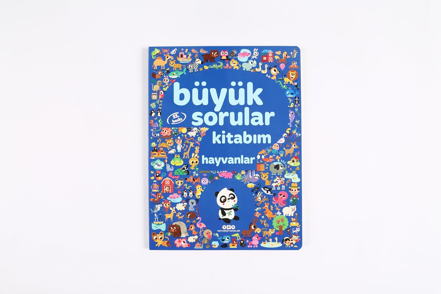 Blackstar Polar 2 2-Kanal Gitar için Ses Kartı
