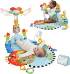Fisher-Price 3’ü 1 Arada Duyusal Gelişim Jimnastik Merkezi HYR60