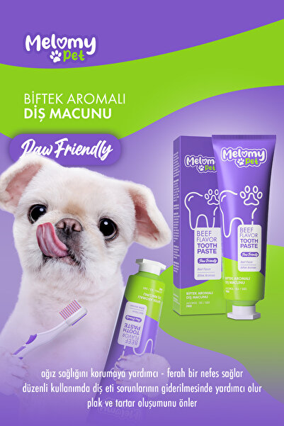 Purina One Somonlu Kısırlaştırılmış Kedi Maması 1,4 Kg