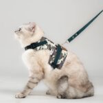 Kaçış Önleyici Kedi Gezdirme Tasması Ve Küçük Irk Köpek Gezdirme Tasması (M, Kamuflaj)