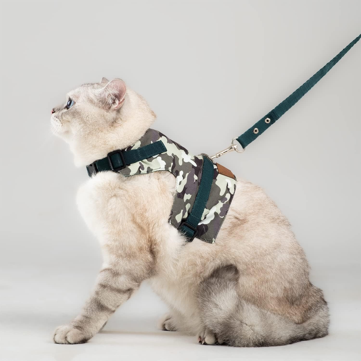 Kaçış Önleyici Kedi Gezdirme Tasması Ve Küçük Irk Köpek Gezdirme Tasması (L, Kamuflaj)